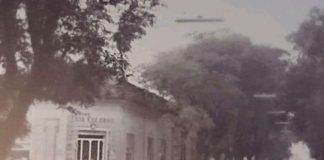 Epidemias en la memoria