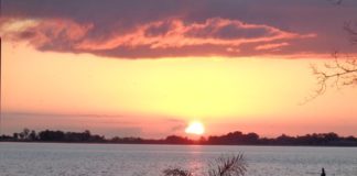 Carta abierta a mi ciudad