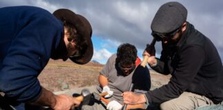 Federico Brissón: volver al pasado con pico, maza y cortafierro