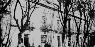 Caballero audaz, un huésped del Colón