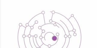 Más allá del papel. Lecturas críticas sobre procesos colectivos