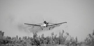 Agrotóxicos en Chascomús: confirman condena al Municipio