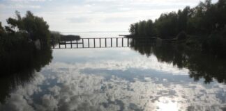 Hormonas humanas en el arroyo Girado