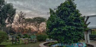 ONG afirma que IOMA no cumple y pone en riesgo la vida de más de 85 adictos en recuperación