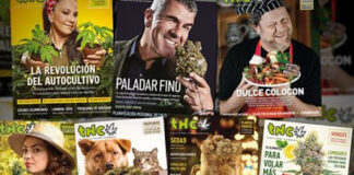 Táctica y estrategia para legalizar la marihuana