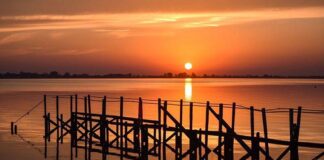 Zoom de Pandemia a los 18