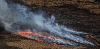 Distintas chimeneas de un mismo fuego