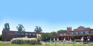 El lujo es vulgaridad, menos en pandemia