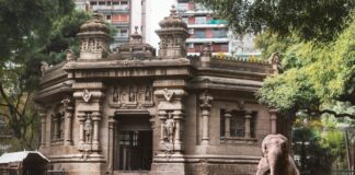 Cómo mudar a un elefante en pandemia