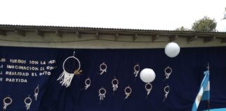 ¿Cuál es la realidad de las escuelas de gestión privada en la región?