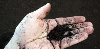 Plantas nativas y compostaje