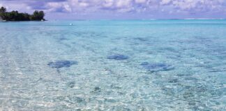 Una familia ligera de equipaje