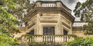 La emboscada perfecta