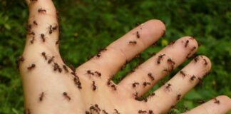 Más allá de la individualidad