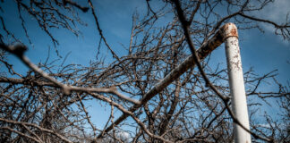 Sesenta segundos más de lo habitual: una historia sureña