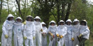 Reinas de Corazones, una colmena de favores de mujeres rurales