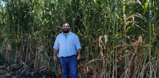 Agua, cómo te deseo