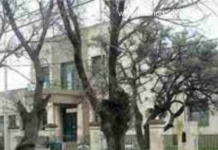 ¿Escuelas paranormales?